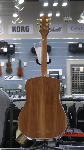 Epiphone - Limited Edition Hummingbird Koa Top 4
